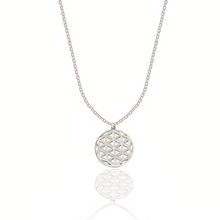 Load image into Gallery viewer, Simplicity Silver 925/Silver gold plated Necklaces
