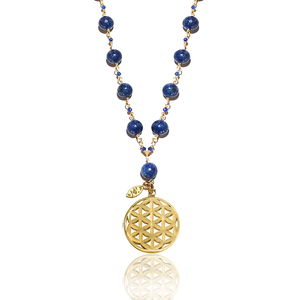 Constellation Coral/Rudraksha/Howlite/Malachite/Lapis Silver 925 Gold plated necklace