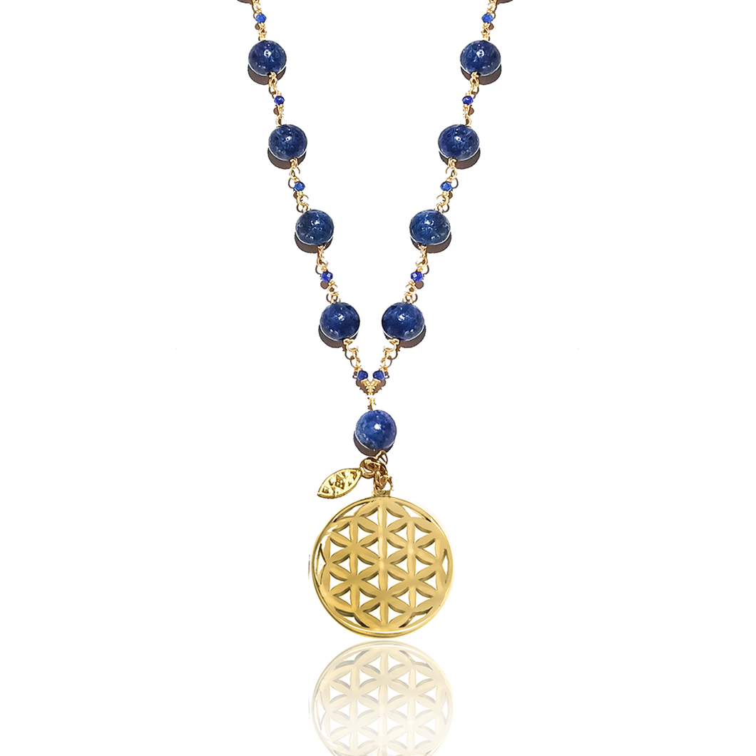 Constellation Coral/Rudraksha/Howlite/Malachite/Lapis Silver 925 Gold plated necklace