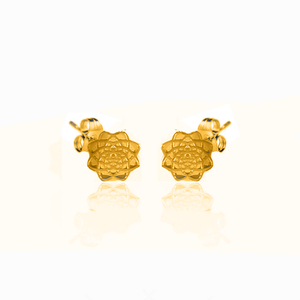 Dosha (Vata, Pitta, Kapha) silver 925 gold plated studs