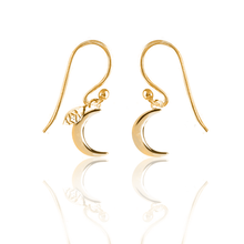 Load image into Gallery viewer, Simplicity (Moon, Sun, Mandala, Tree of life, Lotus) silver 925 gold plated earrings
