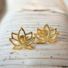 Load image into Gallery viewer, Simplicity silver 925 gold plated studs
